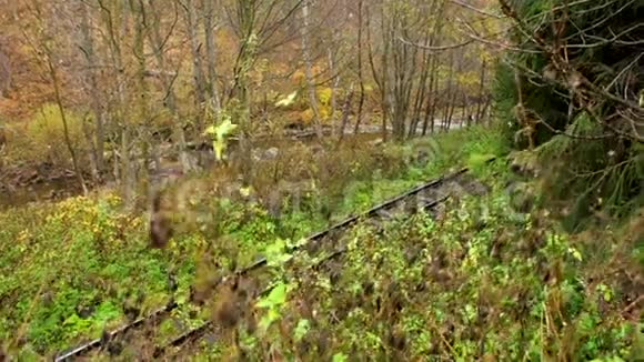 穿过森林的老式火车视频的预览图