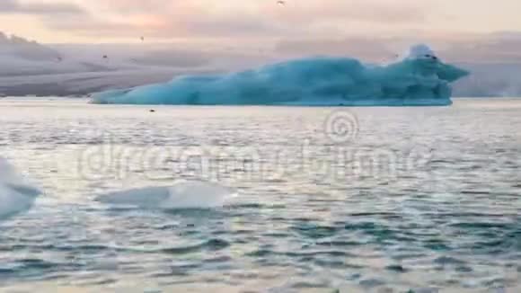 冰山和海豹漂浮在冰岛的冰泻湖中视频的预览图