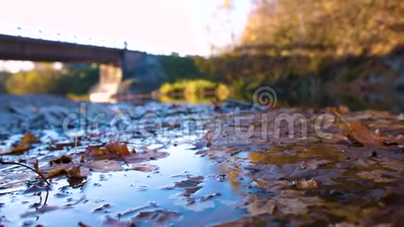 河面秋叶的特写视频的预览图