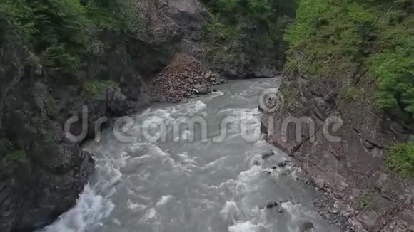 高加索山脉峡谷中的河流在茂密的树木中视频的预览图