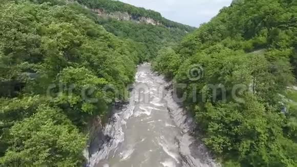 高加索山脉峡谷中的河流在茂密的树木中视频的预览图
