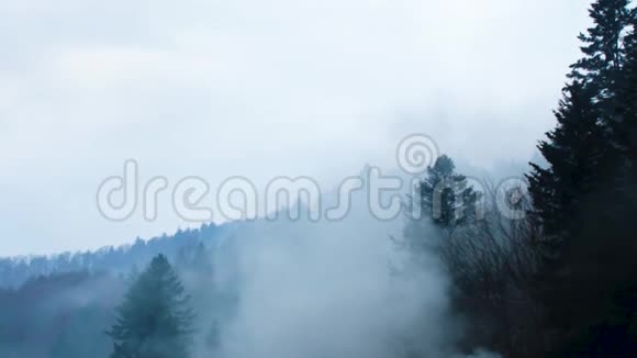 神秘的黑暗的雾森林在山上视频的预览图