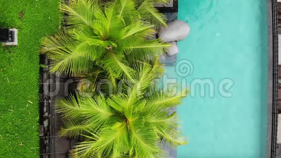 4的K航空飞行在热带美丽的豪华无限游泳池与棕榈树豪华别墅游泳池视频的预览图