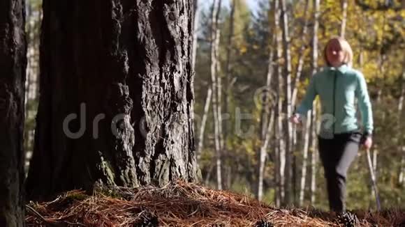 一个在秋天的森林里练习北欧语的女人她踩在大树间的针叶上视频的预览图