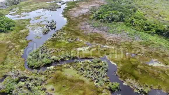 巴西热带雨林丛林空中景观视频的预览图