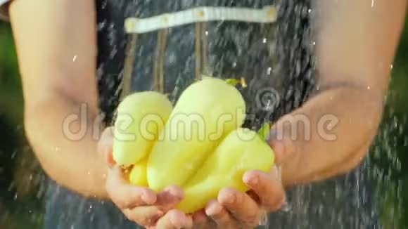 一个农民用甜椒在流水下牵手纯有机产品概念视频的预览图