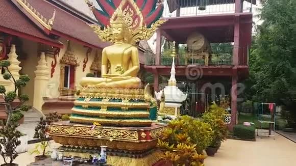 老挝佛陀mp4视频的预览图