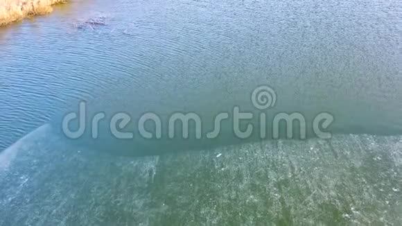 起飞越过江面上的冰和水的边界黄色的草视频的预览图