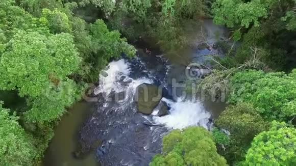 科尔的恩加邦瀑布水和丛林三视频的预览图
