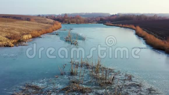 树木在河上结冰生长无人机飞过水面湖水湛蓝树丛和树木从河中生长视频的预览图