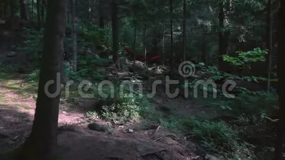 空林中红色吊床的运动视频的预览图