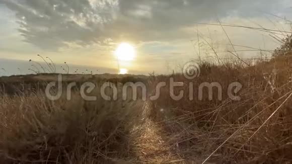 摄像机慢慢地沿着小径穿过高大干燥的灌木丛斯坦迪卡姆美丽的日落在马里布加利福尼亚视频的预览图