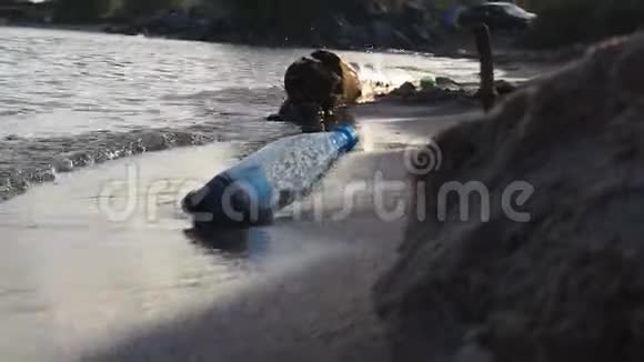 一个塑料瓶躺在海滩上波浪在上面冲刷防治环境污染的概念视频的预览图