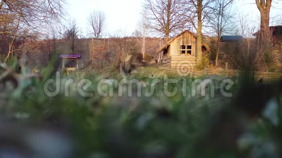 绿色植物之间的木制小房子和放松的气氛视频的预览图