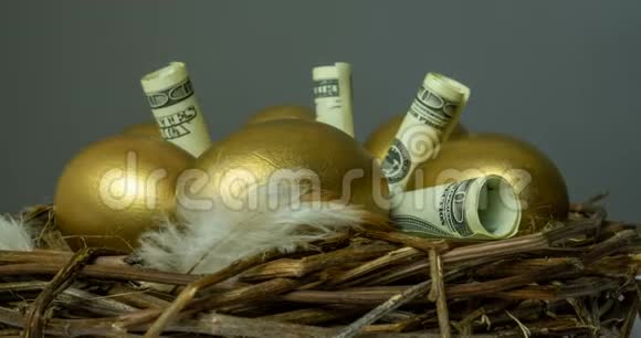 鸟窝里金蛋有钞票有投资退休储蓄视频的预览图