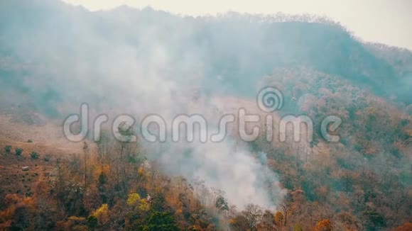 丛林大火的烟雾森林砍伐和气候危机热带雨林大火产生的有毒烟雾空中视频4k视频的预览图
