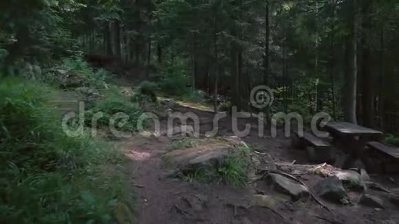 夏季森林中红色吊床的运动视频的预览图