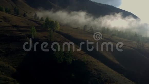 4K鸟瞰图低飞过山河和绿树视频的预览图