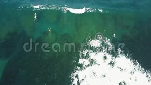 一群冲浪者等待海浪的空中镜头一个冲浪者捕捉海浪视频的预览图
