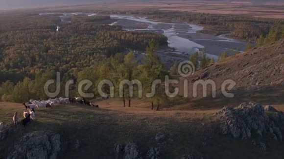 鸟瞰一群山山羊山景视频的预览图