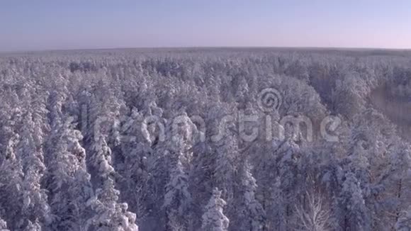 森林中冬季道路的航拍照片车辆交通直升机飞行视频的预览图