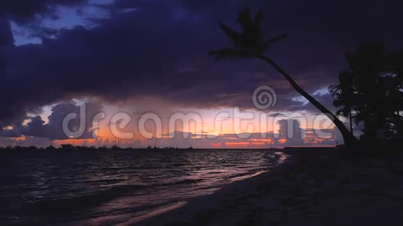 热带岛屿有棕榈树的异国海滩假期及假期背景视频的预览图