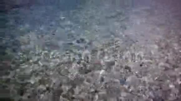 透明海水视频的预览图