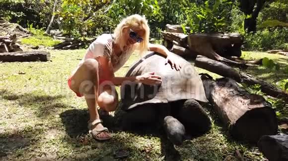 女人触摸巨龟视频的预览图