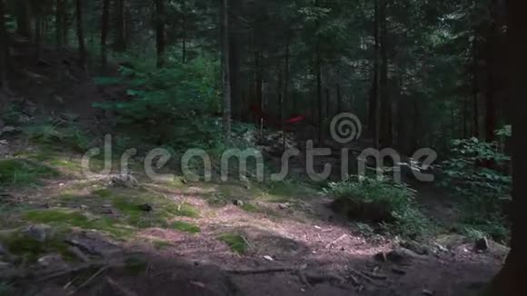空林中红色吊床的运动视频的预览图