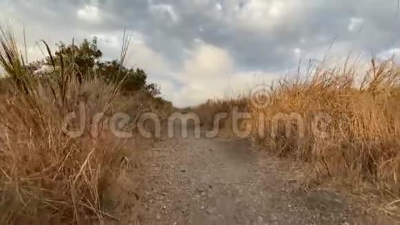 摄像机慢慢地沿着小径穿过高大干燥的灌木丛斯坦迪卡姆美丽的日落在马里布加利福尼亚视频的预览图