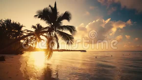 在索纳天堂岛的绿松石海中有棕榈和帆船的海滩视频的预览图