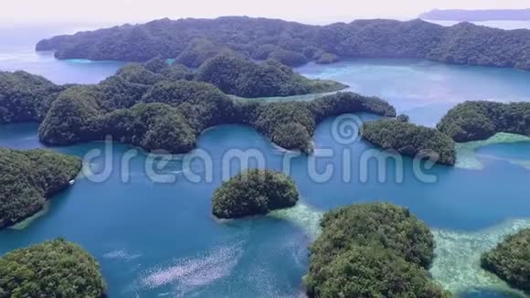科罗岛的鸟瞰图许多绿色小岛带有五颜六色珊瑚礁和热带泻湖的海景帕劳六视频的预览图