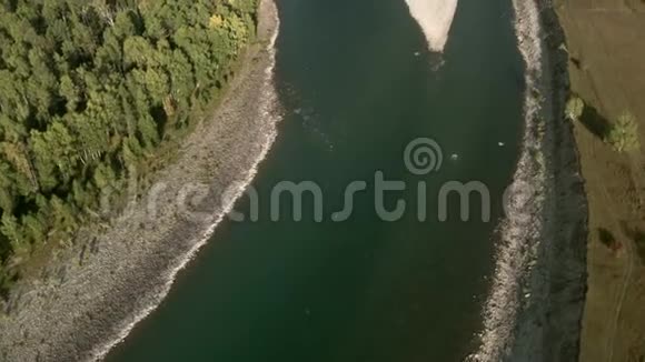 4K鸟瞰图低空飞越一条清新寒冷的山河群山绿树天边晴空万里阿尔泰视频的预览图