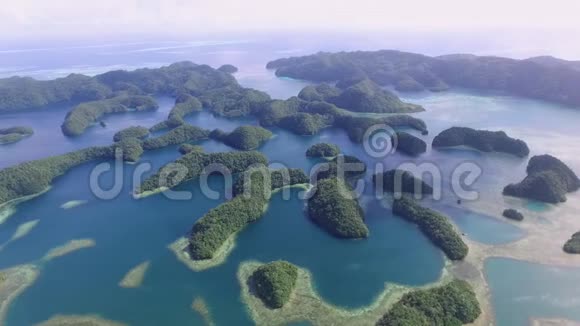 科罗岛许多绿色小岛帕劳海相带有着五彩缤纷的珊瑚礁热带泻湖视频的预览图