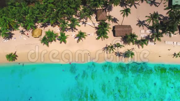索纳岛热带棕榈树海滩的鸟瞰图视频的预览图