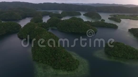 科罗岛许多绿色小岛背景中带着五颜六色珊瑚礁的帕劳海相视频的预览图