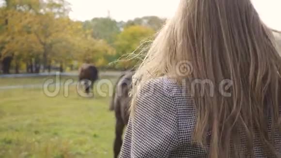 在珊瑚旁边站着一个白人女人美丽的棕马在她身后放牧女孩试图视频的预览图