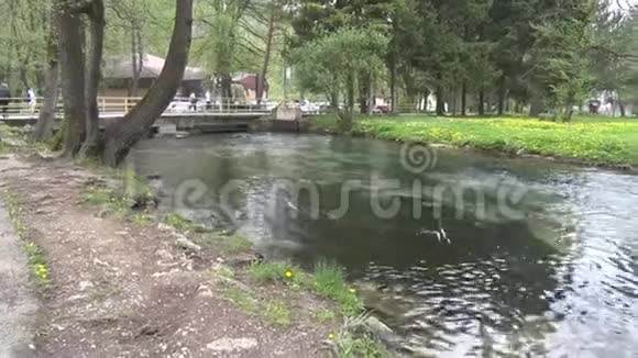 城市公园里的小河视频的预览图