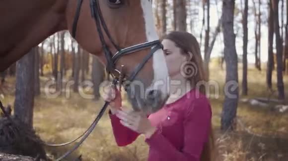 一位年轻的高加索女人在秋天的森林里抚摸着马并说话的特写肖像微笑的黑发女人视频的预览图