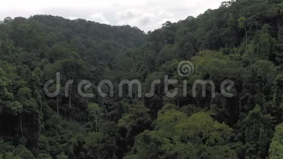 亚洲丛林泰国普吉岛4K无人机射击视频的预览图