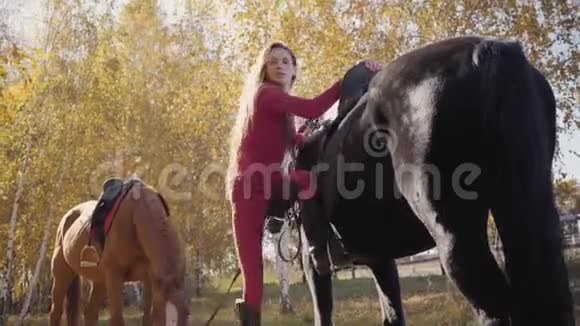 年轻的白种人女人抚摸着黑色优雅的马转过身来微笑着专业女性马术视频的预览图
