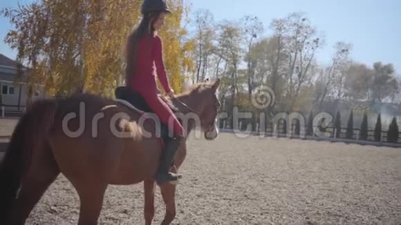 一个穿着粉红色衣服和头盔的白人女孩骑着棕色的马在畜栏里的后景年轻女性马术视频的预览图