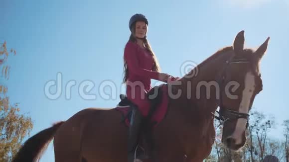 一位可爱的白人女性马术运动员穿着粉红色衣服戴着骑马头盔坐在阳光下的肖像视频的预览图
