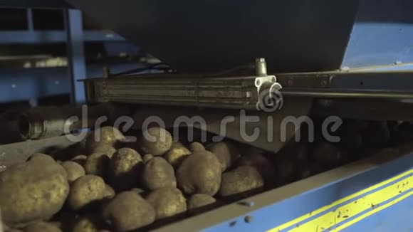 蔬菜土豆在一个大工厂的分拣带上输送收获视频的预览图