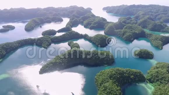 科罗岛的鸟瞰图许多绿色小岛带有五颜六色珊瑚礁和热带泻湖的海景帕劳景观和视频的预览图