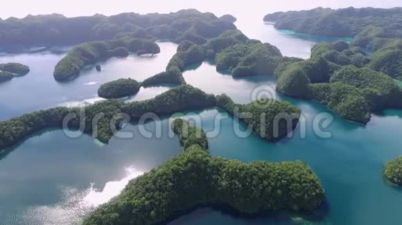 鸟瞰科罗岛许多绿色的小岛有五颜六色的珊瑚礁和热带泻湖的海景帕劳景观和视频的预览图