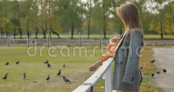 在秋天公园里一位有着棕色长发的有魅力的高加索女人站在畜栏旁边很漂亮视频的预览图