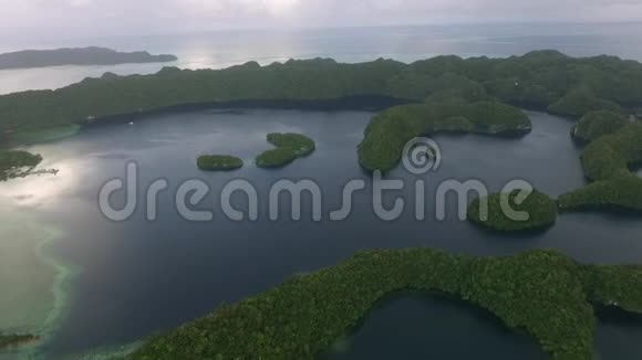 科罗岛许多绿色小岛帕劳海相带五颜六色的珊瑚礁热带泻湖七视频的预览图