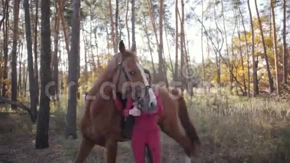 年轻的白种人女性马术运动员穿着粉红色的衣服训练美丽的棕色马在秋天的森林漂亮的女人视频的预览图