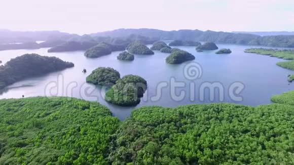 鸟瞰科罗岛许多绿岛带有五颜六色珊瑚礁和热带泻湖的海景空中景色视频的预览图